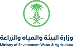 وزارة