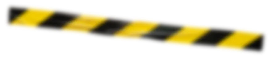 Asset